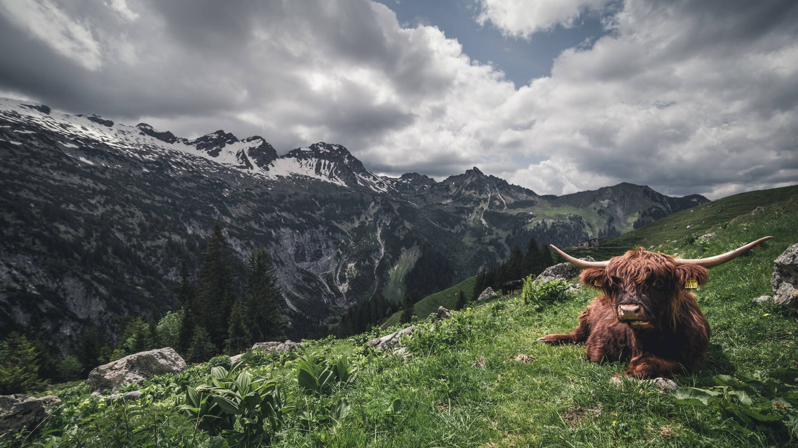 租借球员成最意外的英雄，迪亚斯用实力证明自己，韩国关键战突围马德里竞技