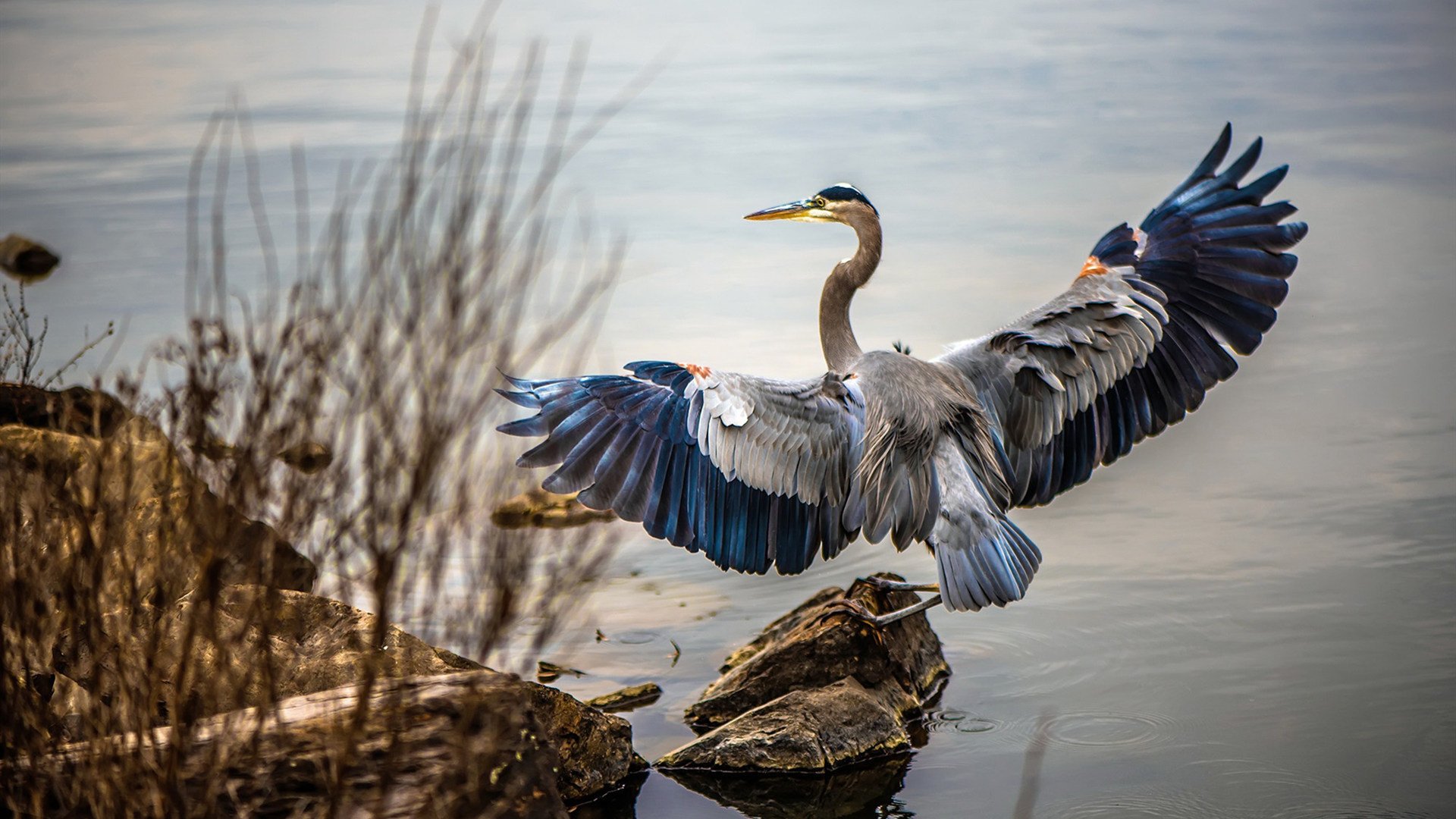 四载守望终迎破晓，巴斯托尼于意大利的救赎之夜铸就钢铁长城