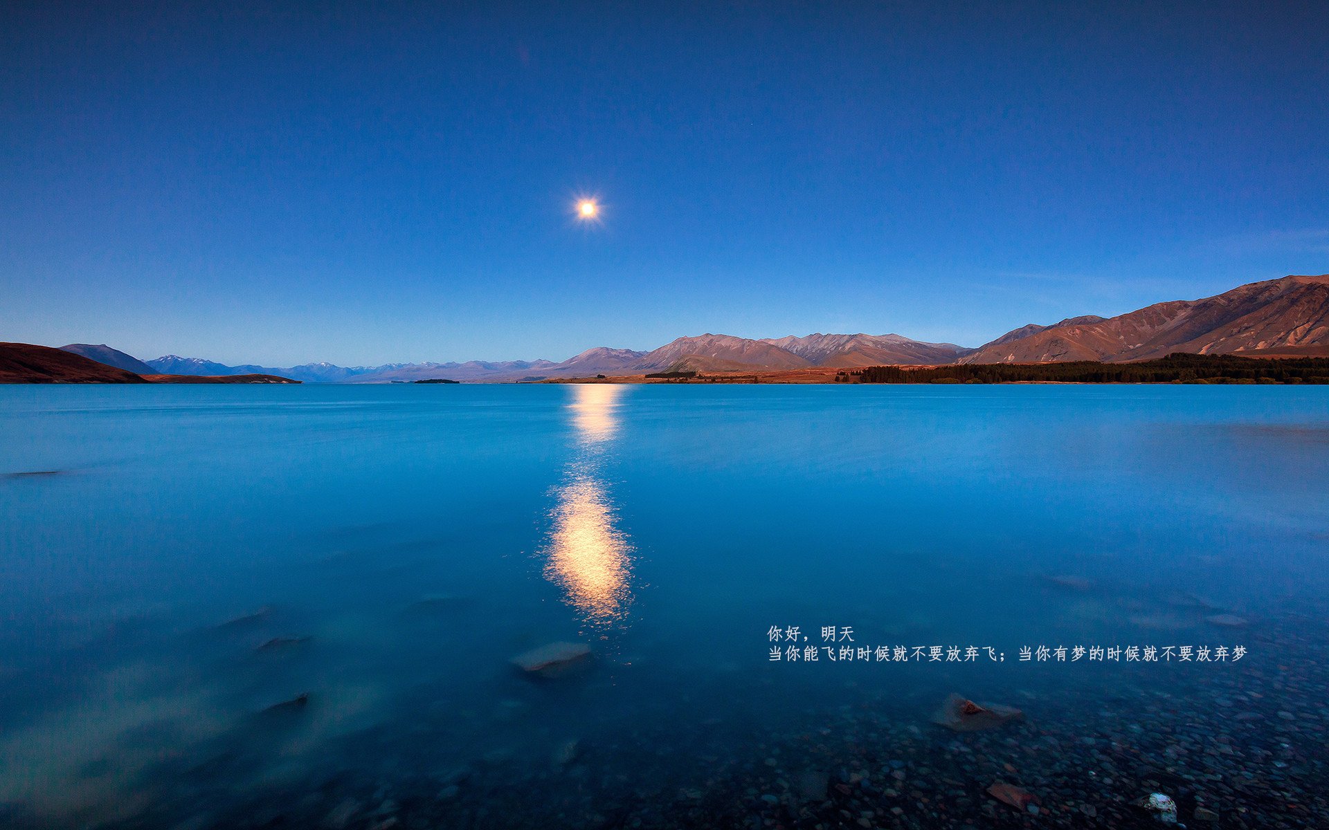 战术的文艺复兴，当利物浦遇上拜仁，一场空间与秩序的博弈