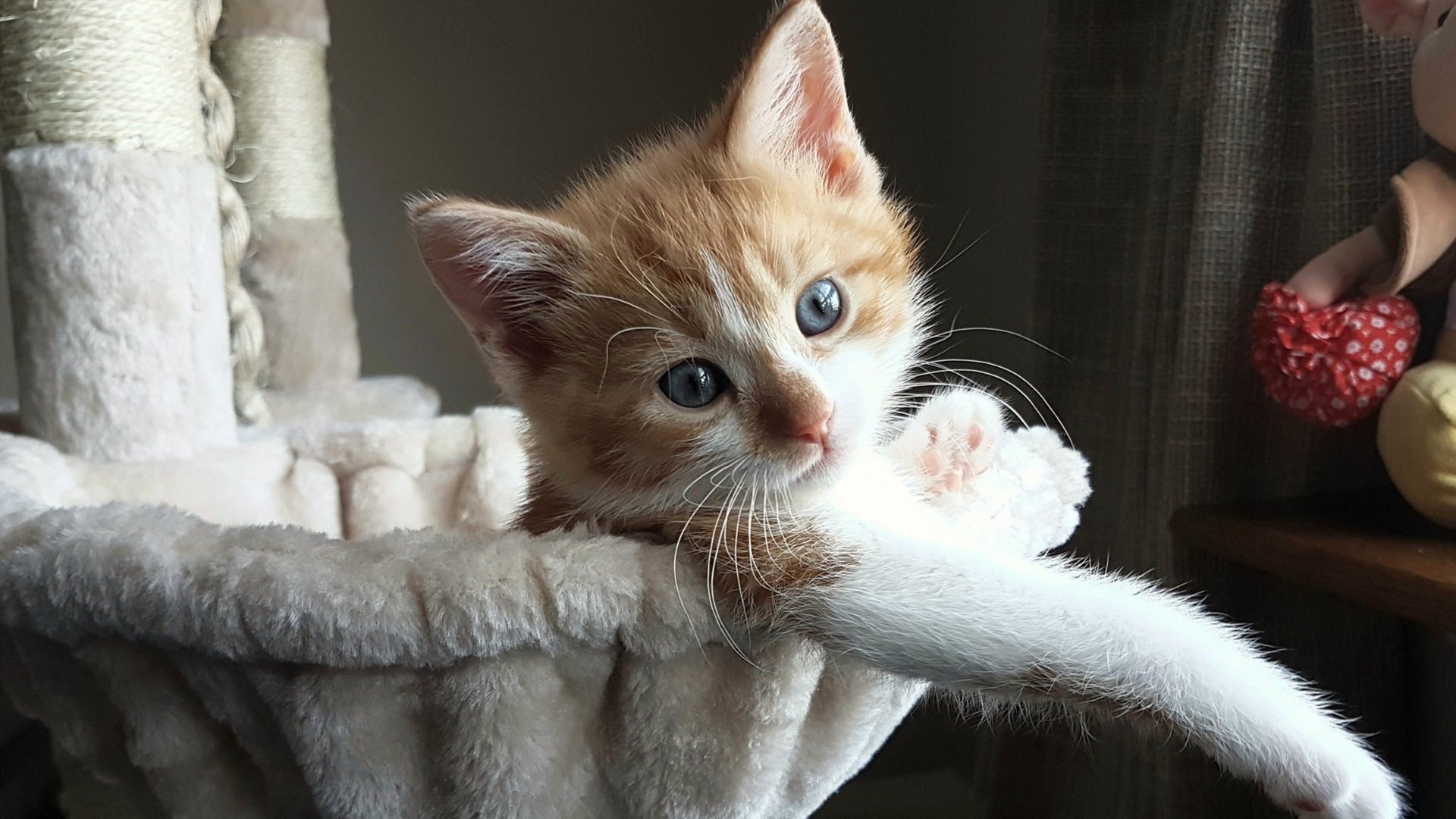 爆发的三重奏，从个人技艺到民族精神