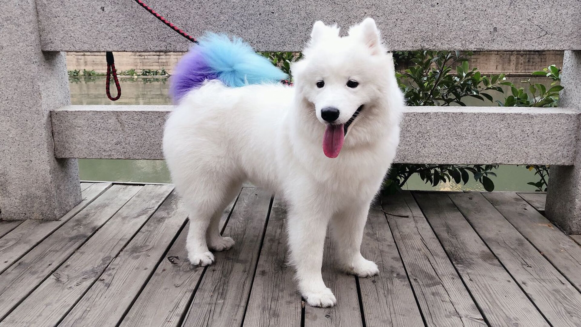 赛道与球场，两种硬仗之王如何定义极限