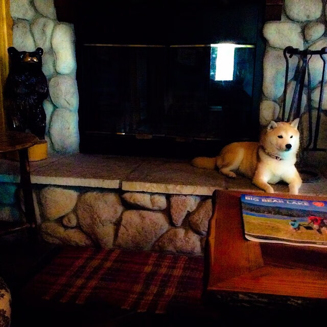 跨越赛场的传奇,克莱·汤普森末节决胜热火,再统F1街道赛