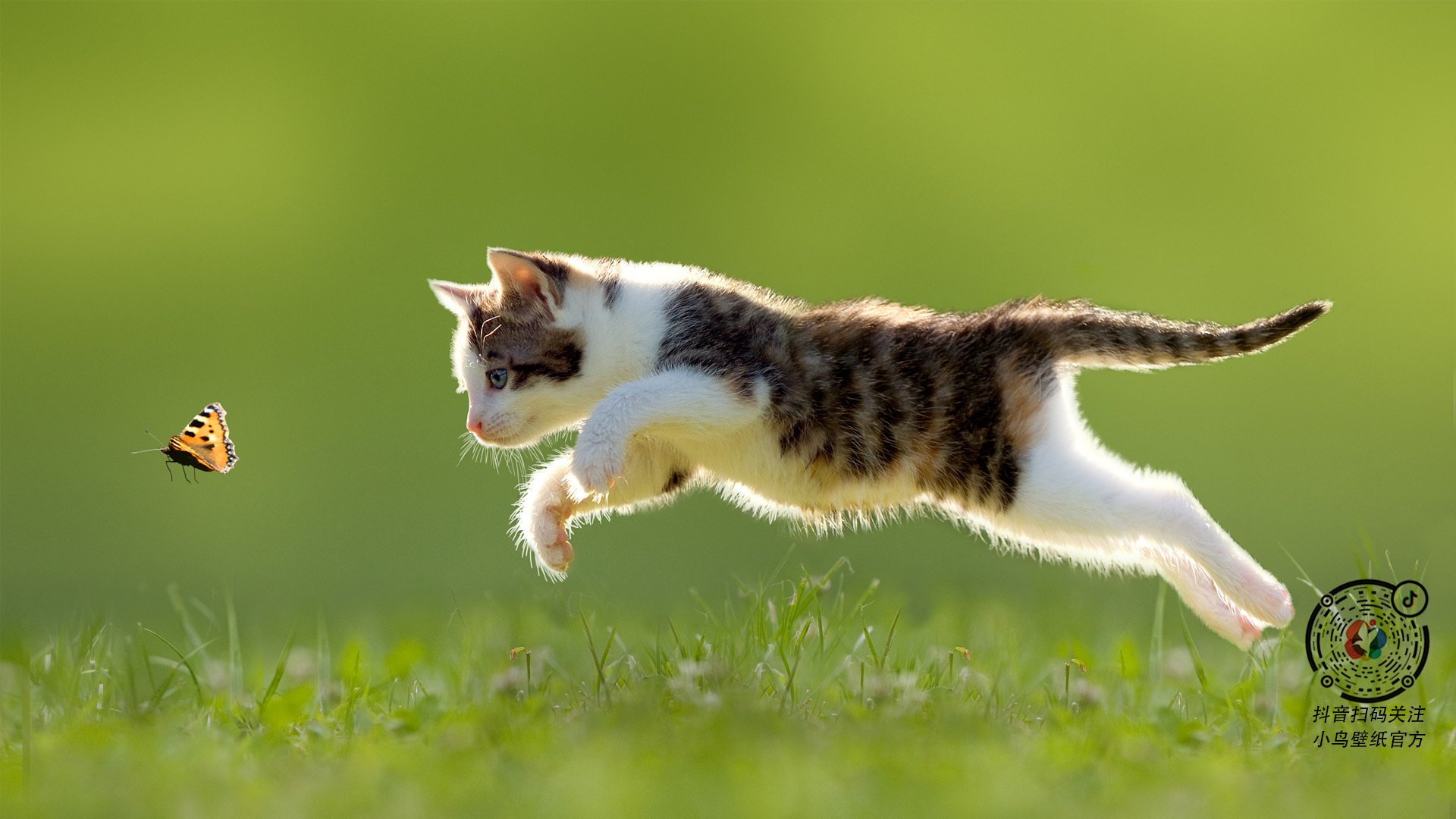 接管的艺术，当米切尔燃爆欧冠，辽宁让篮网沉默