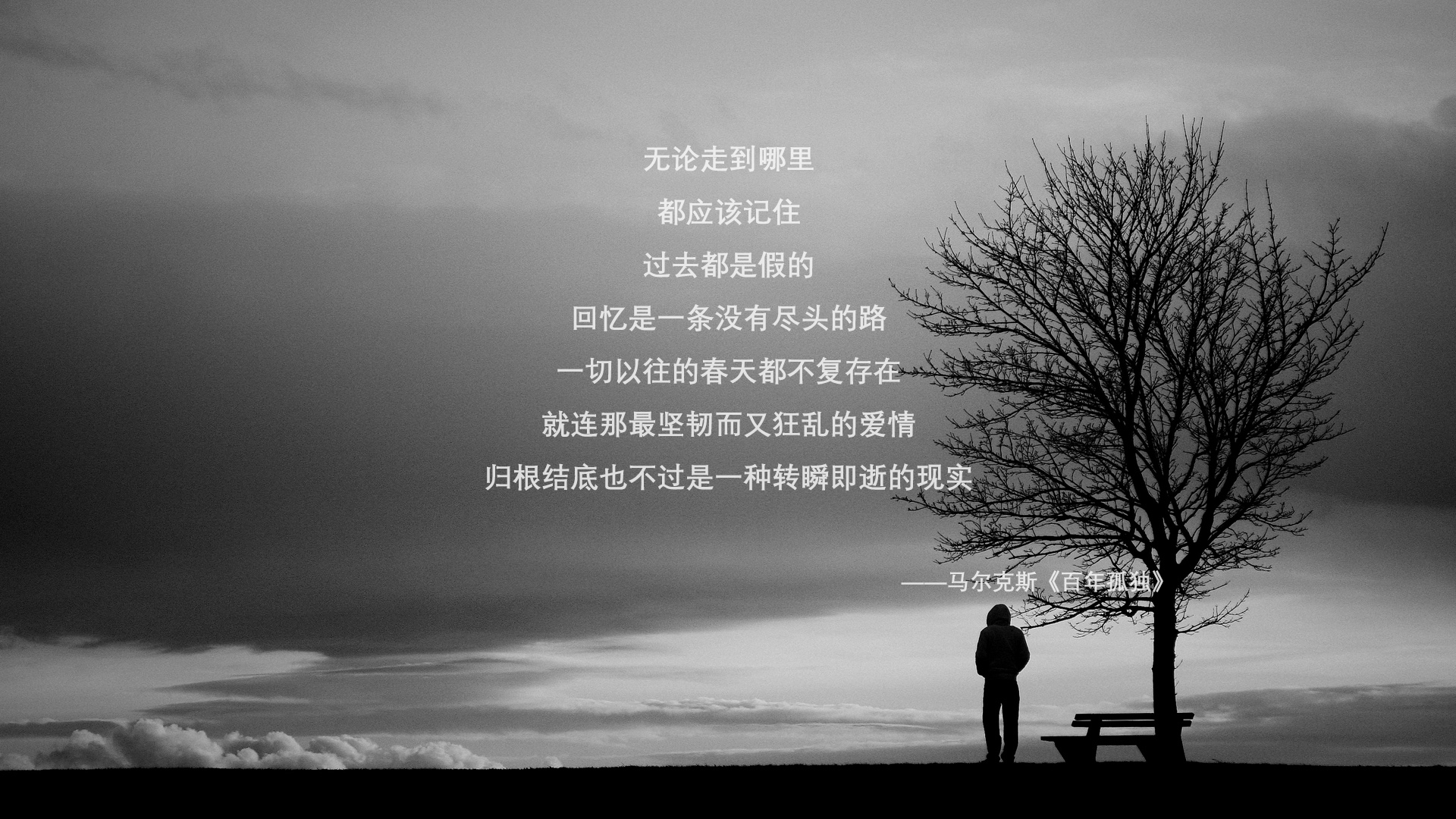 绝无仅有的史诗夜,2026世界杯淘汰赛,三笘薰一剑封喉,加拿大与墨西哥的生死博弈