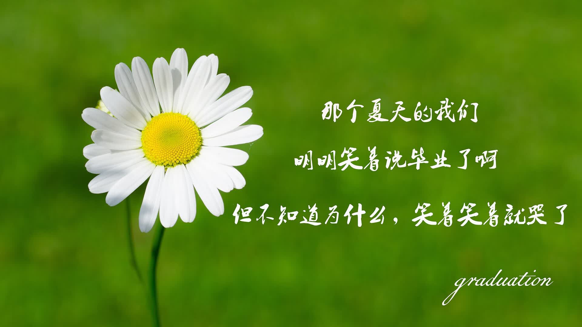 归化神锋咆哮,苏亚雷斯引领韩国风暴,比利时防线崩溃—2026世界杯H组焦点战纪实