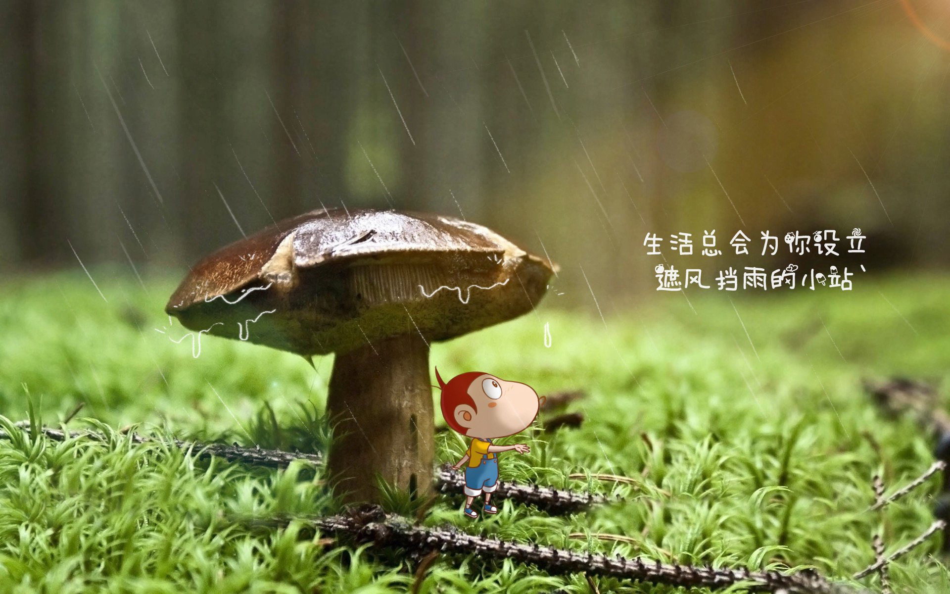 2026世界杯D组惊天变局,归化奇才齐耶赫独造四球,泰国7-0横扫秘鲁,亚洲足球崛起新标杆