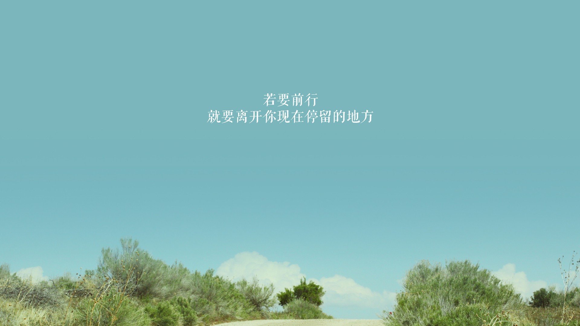 致命连线，坎塞洛妙传定乾坤，波兰三狮复仇战惊魂2026