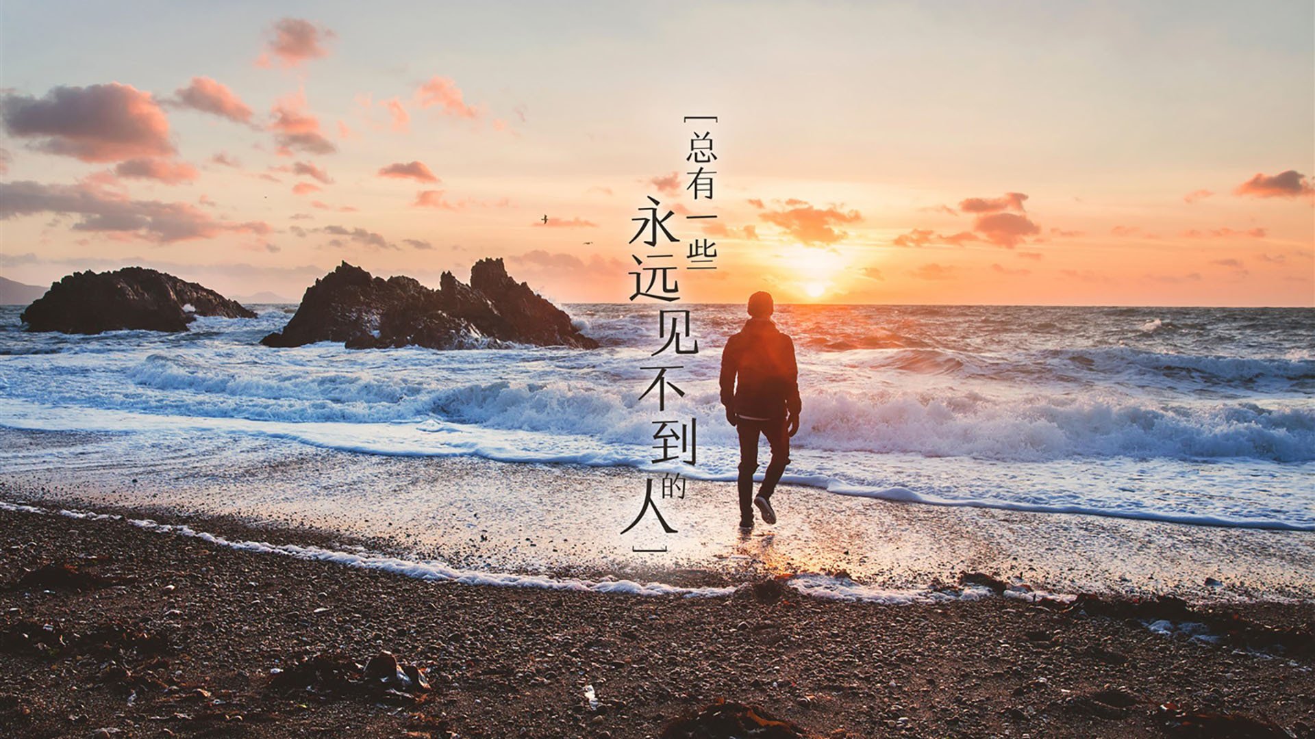 哈基米的致命弧线，2026世界杯B组日本VS葡萄牙，一场被改写命运的生死战